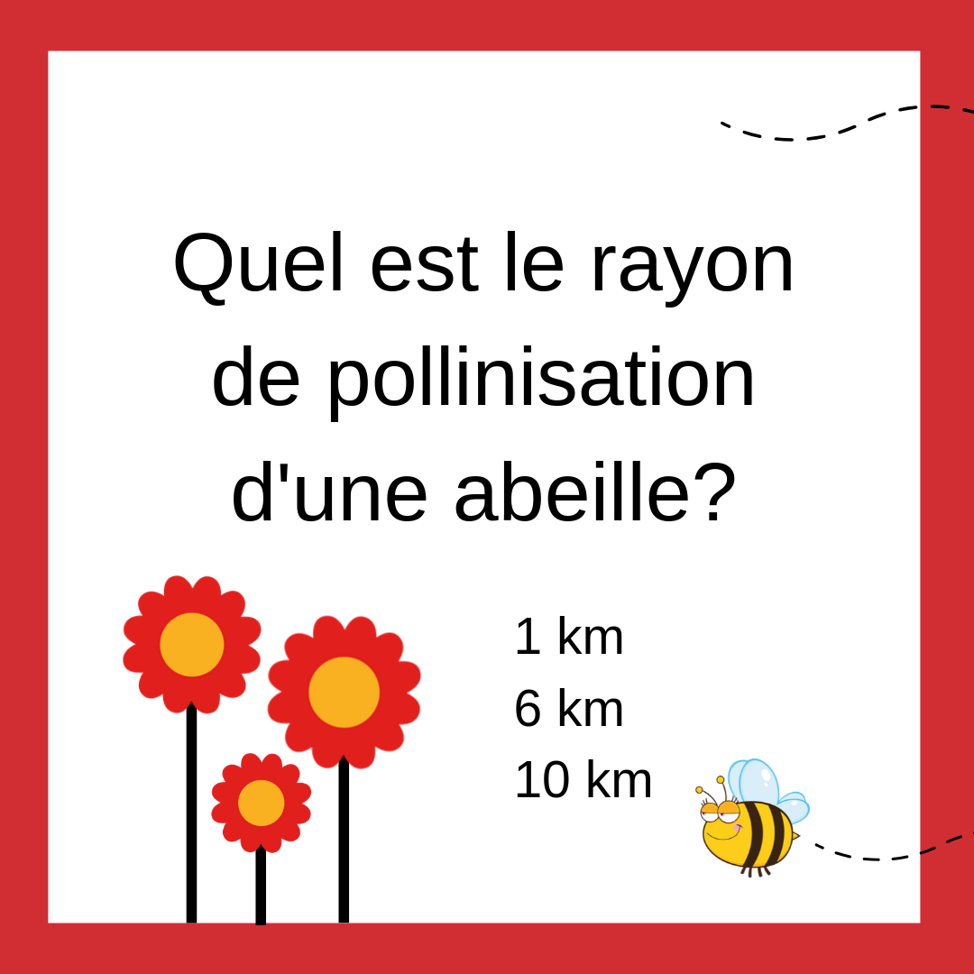 Miel de la Promenade Masson