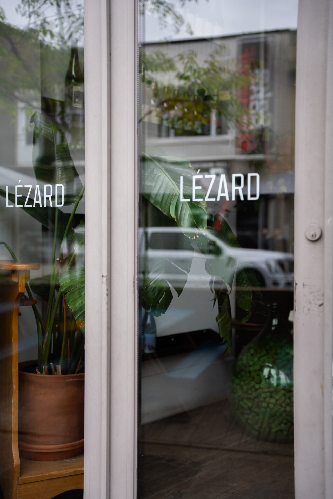 Café Lézard