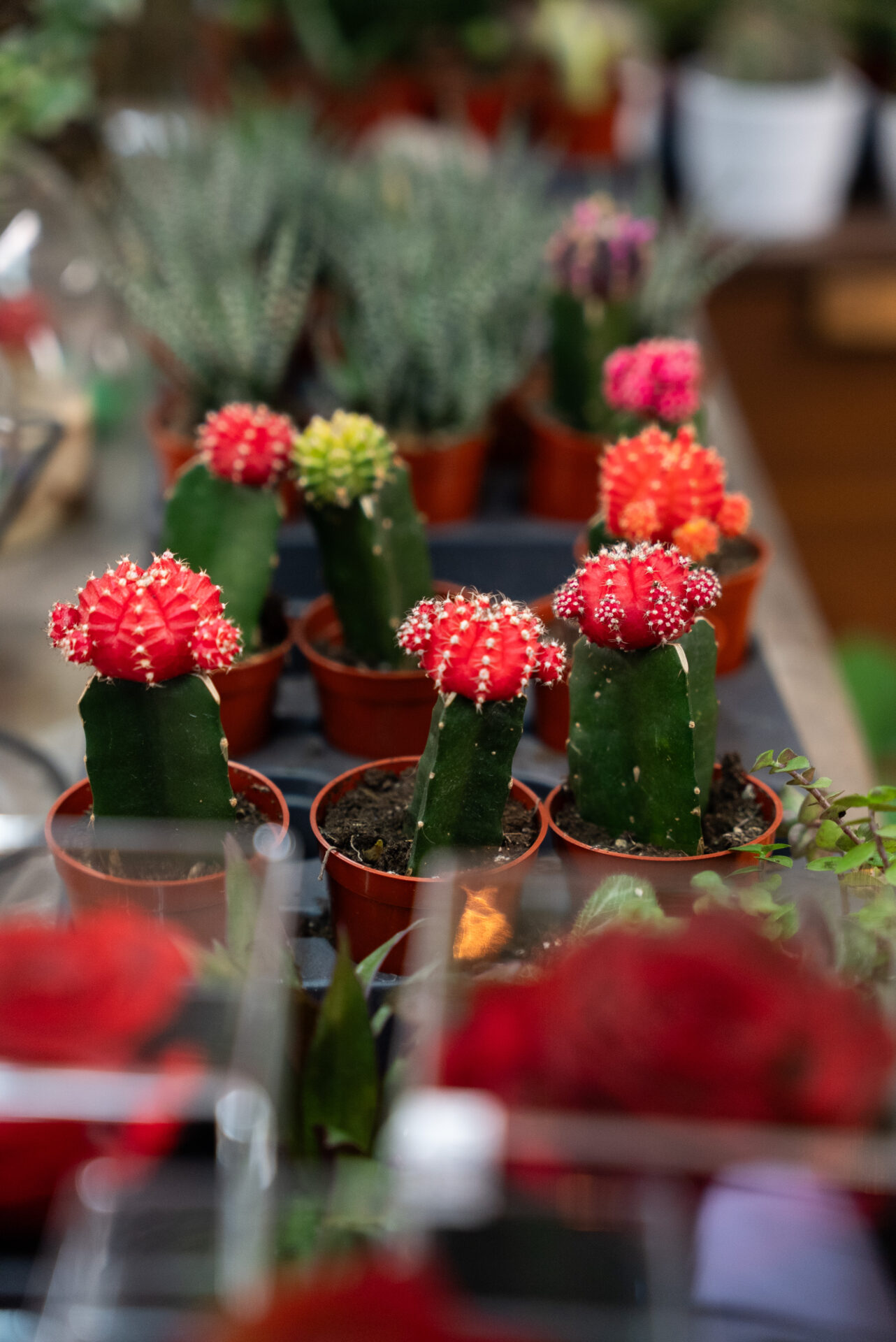Fleuriste M
