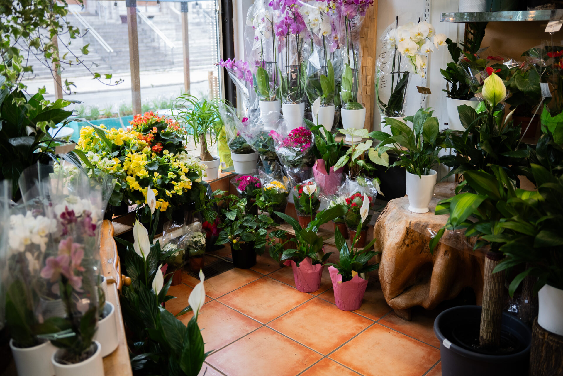 Fleuriste M