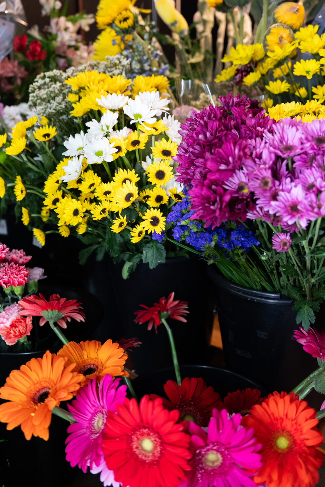 Fleuriste M