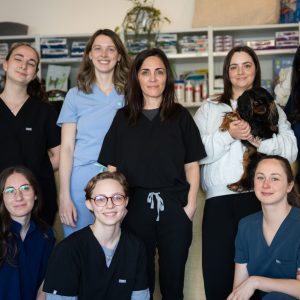 PromenadeMasson_CliniqueVeterinaire-04