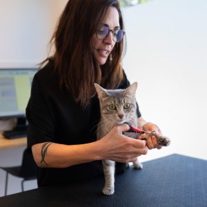 PromenadeMasson_CliniqueVeterinaire-10