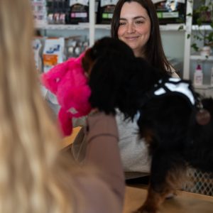 PromenadeMasson_CliniqueVeterinaire-20