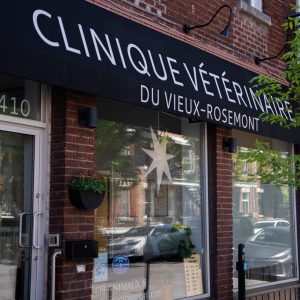 PromenadeMasson_CliniqueVeterinaire-30
