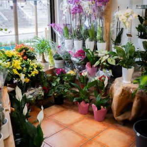 PromenadeMasson_FleuristeM-08
