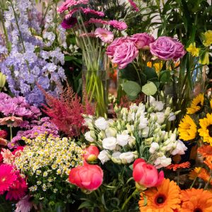 PromenadeMasson_Lejardindemathilde-01