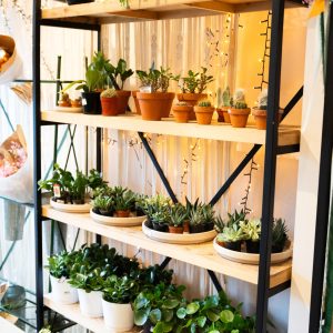 PromenadeMasson_Lejardindemathilde-08