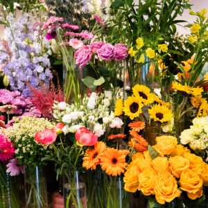 PromenadeMasson_Lejardindemathilde-11