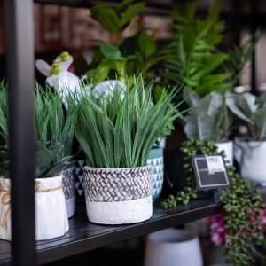 PromenadeMasson_Maisonengros-12