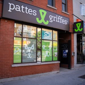 PromenadeMasson_PattesetGriffes-02