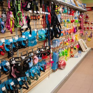 PromenadeMasson_PattesetGriffes-10